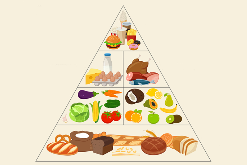 food pyramid outline