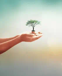 Hybrid Funds