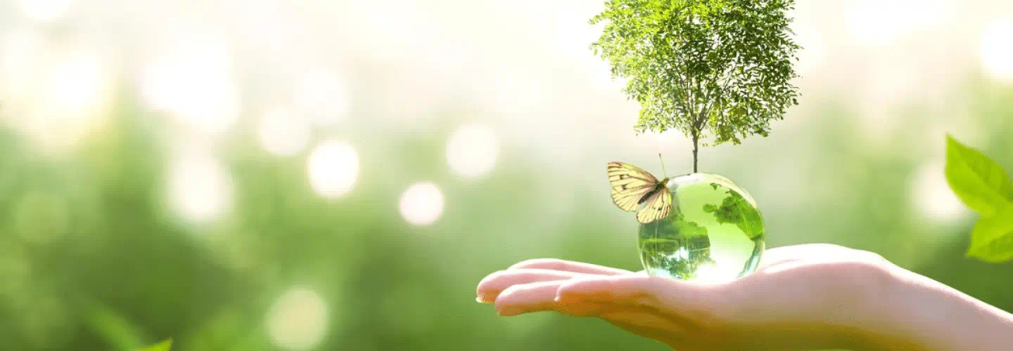 Environment