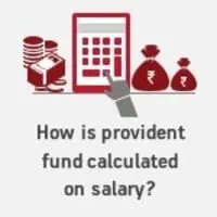 Pf shop calculator online