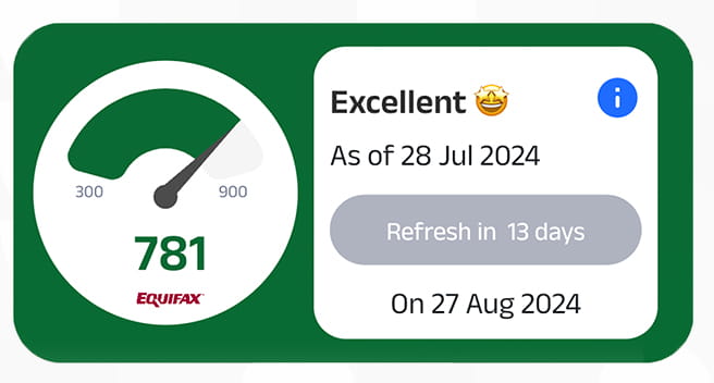credit score management dashboard image