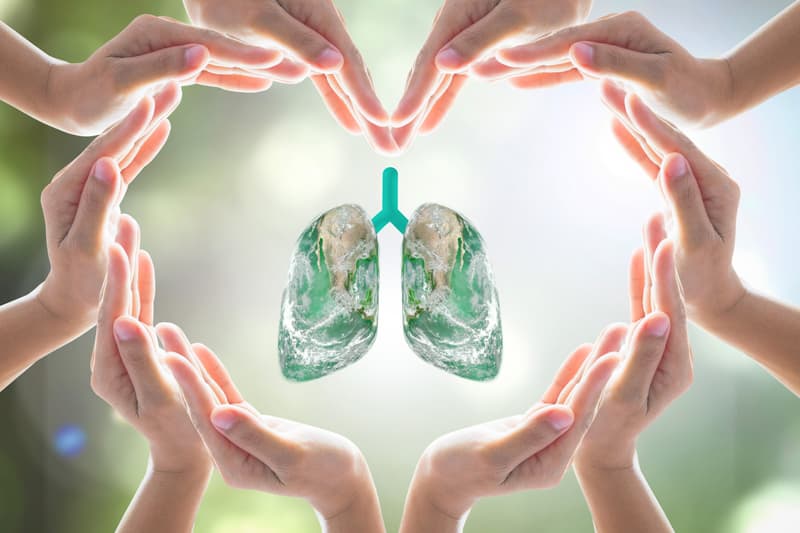 Healthy Lungs