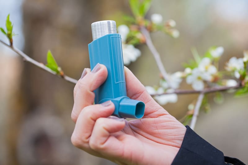 Ayurvedic Remedies For Asthma