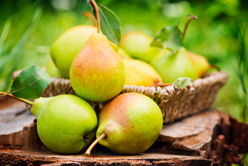 fruit-for-family-health-pear
