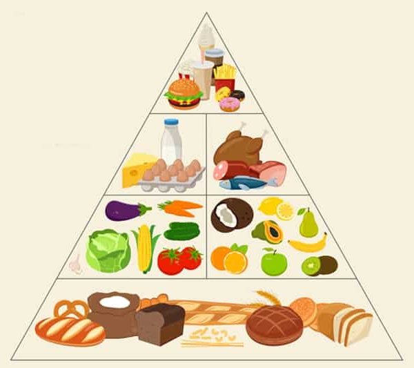 Food-Pyramid-header-2-abchi