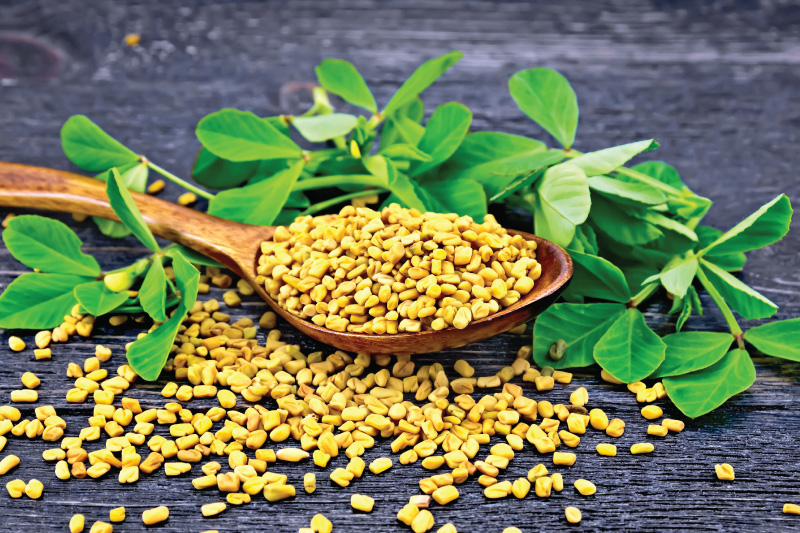 . Consume fenugreek seeds Activ Living