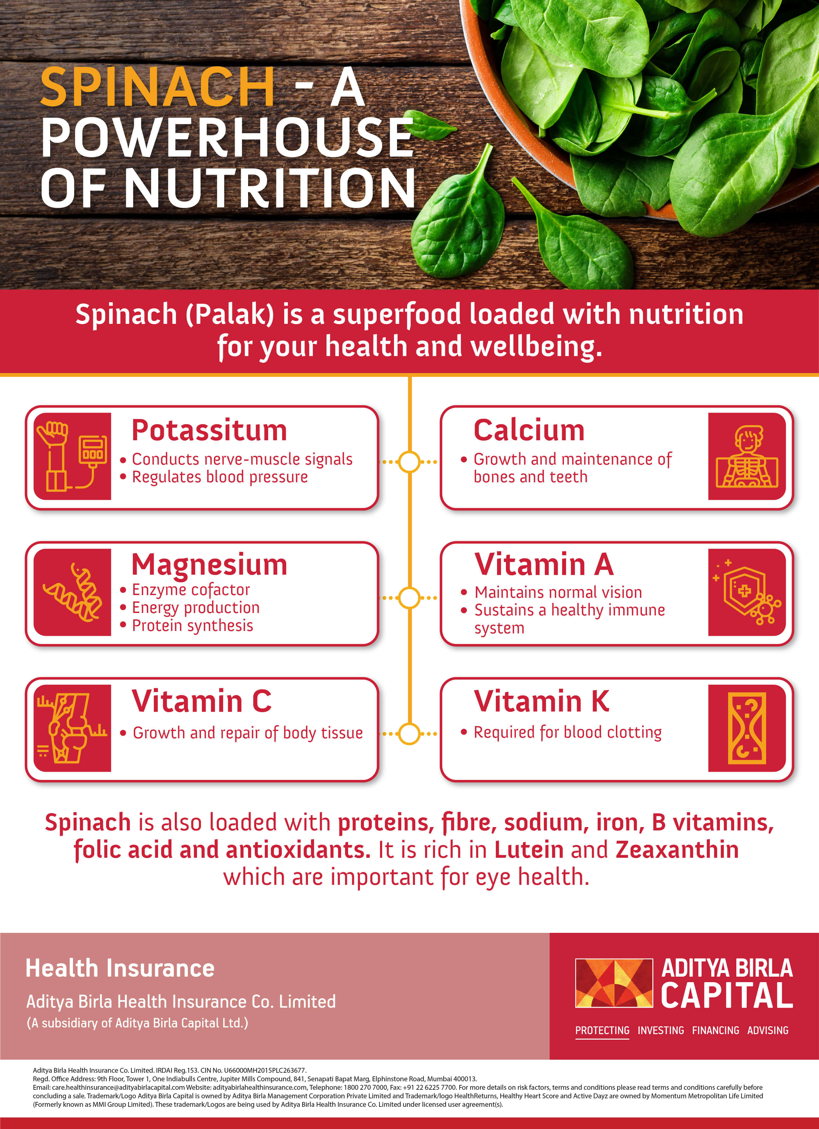 Spinach- Powerhouse of Nutrition Infographic- Activ Living