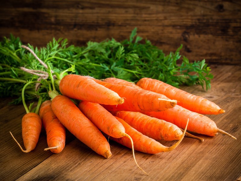 Carrots Activ Living