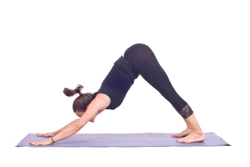 Downward Dog- Activ Living