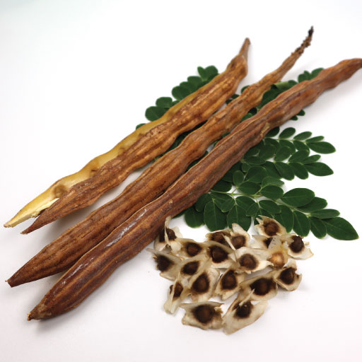 Amazing Health Benefits of Moringa, A Nutrient-Rich Superfood