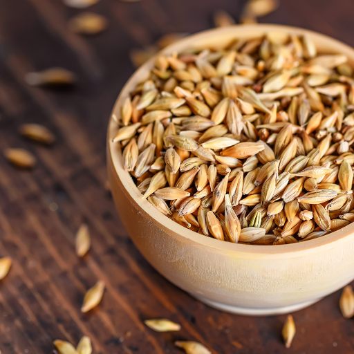 Health benefits of Barley- Activ Living