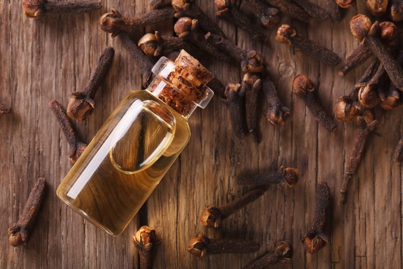 Home remedies for toothache - Clove Oil