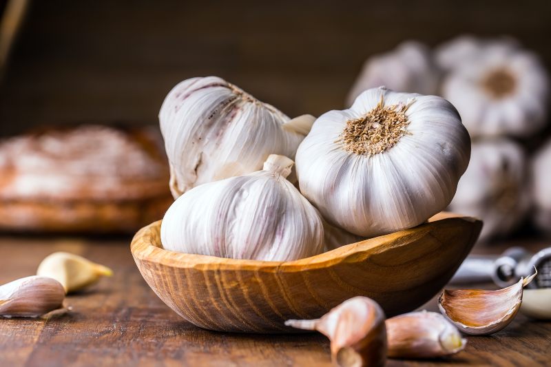 Garlic for TB- Activ Living