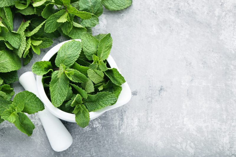 Mint leaves- Activ Living