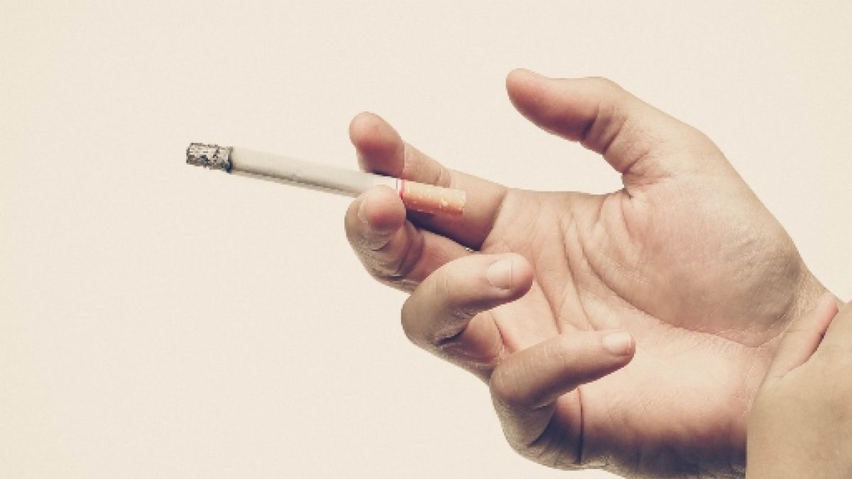 Postprandial Oxidative Stress In Exercise Trained And Sedentary