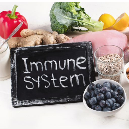 Immune System