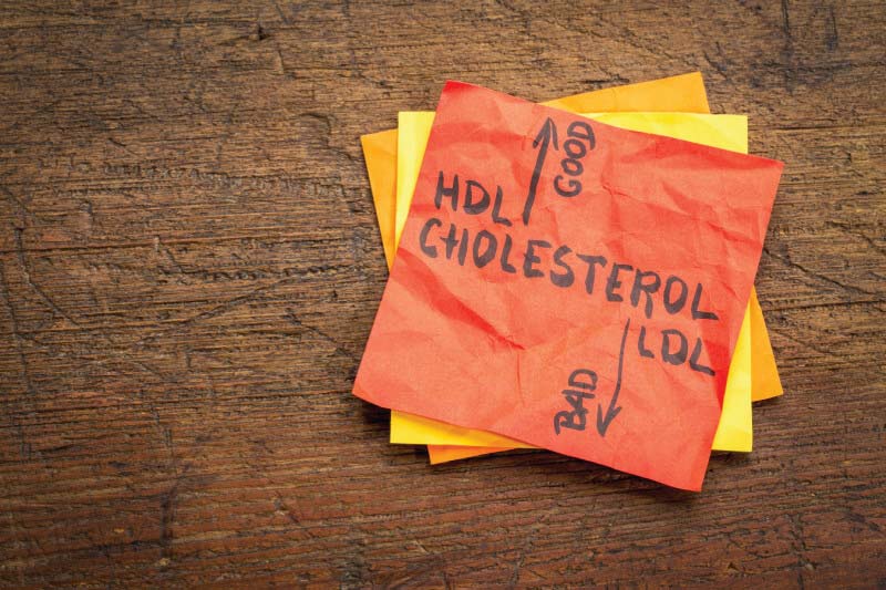 Lower LDL Cholesterol_Activ Living Community