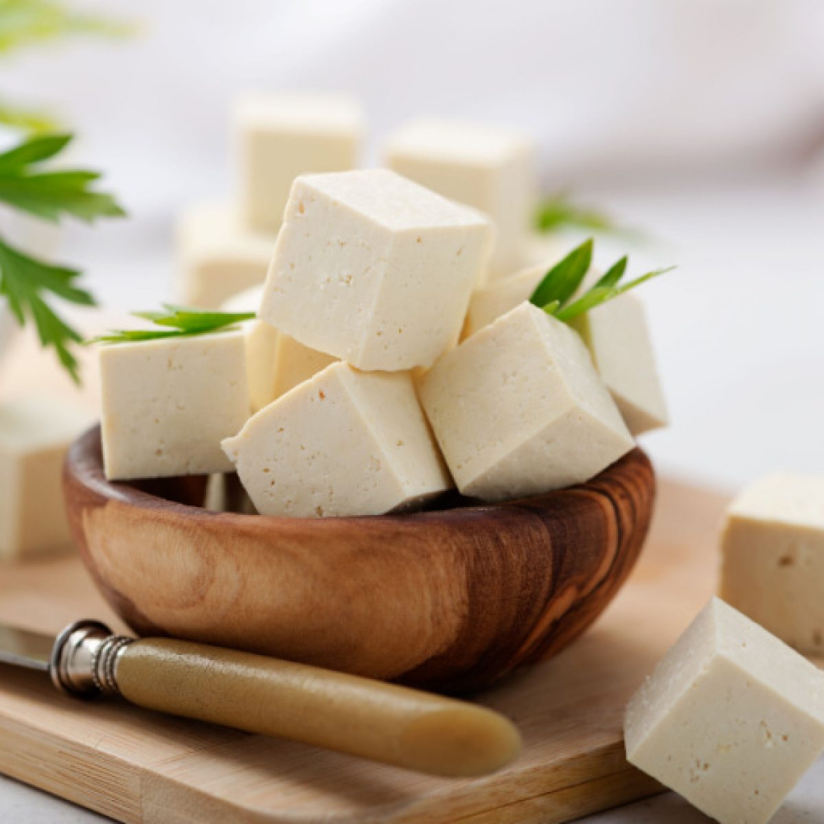 Difference Between Tofu Paneer? Tofu Vs Paneer Which Is