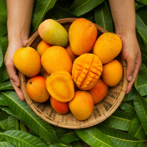 Mango benefits