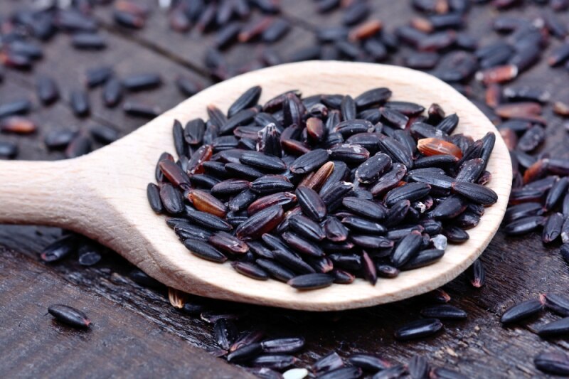 benefits of black rice_activ living community