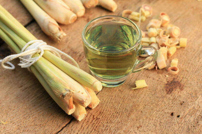 Lemongrass Benefits For Health_Activ Living Community