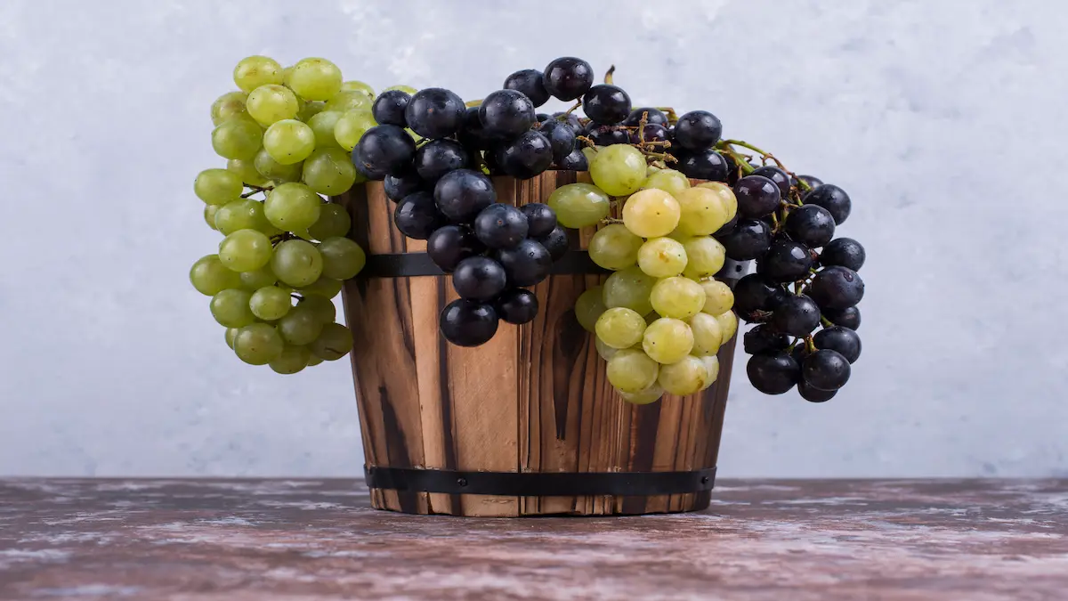 bunch-green-red-grapes-wooden-bucket-table-blue-wall_Activ Living Community