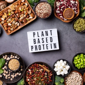 Top Plant-Based Protein Sources